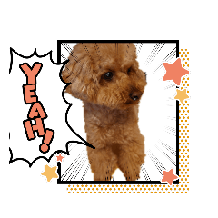 [LINEスタンプ] ボーちゃんだよ