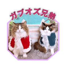 [LINEスタンプ] ガブオズ兄弟 パート1