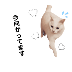 [LINEスタンプ] 塩八スタンプ2