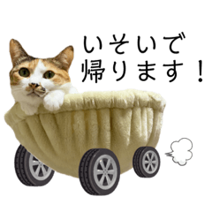 [LINEスタンプ] わさびとおかかの日常スタンプ