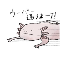 [LINEスタンプ] ゆるりん動物ズ