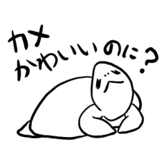 [LINEスタンプ] 人間に寄り添う可愛い自覚のあるカメ