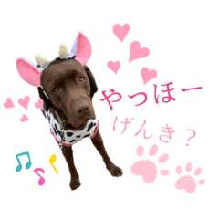 [LINEスタンプ] ずんずん茶ラブのあんず❤️