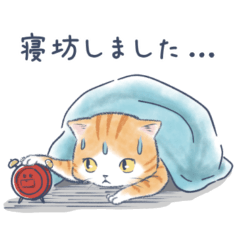 [LINEスタンプ] ねこと待ち合わせ