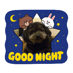 [LINEスタンプ] レオのキュンスパーク