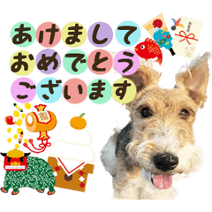 [LINEスタンプ] そらまめのあけおめ＆メリクリスタンプ