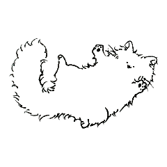 [LINEスタンプ] しろもふねこ