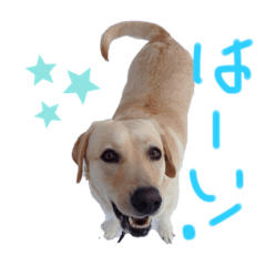 [LINEスタンプ] らぶこのスタンプ2