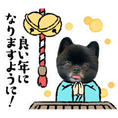 [LINEスタンプ] とらひなまえすたんぷ年末年始