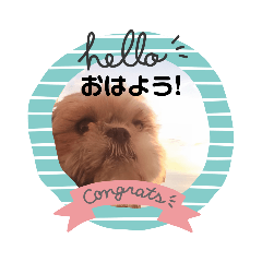 [LINEスタンプ] ぼこと