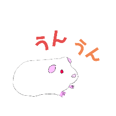 [LINEスタンプ] 毎日使える！モルモットのコットンスタンプ