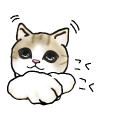 [LINEスタンプ] ねこねこ 21.12.19