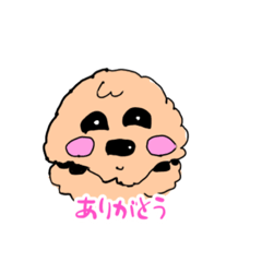 [LINEスタンプ] おもかわトイプードル