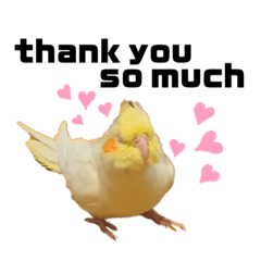 [LINEスタンプ] オルちゃんPart2