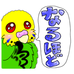 [LINEスタンプ] 使える！可愛い黄緑セキセイインコ