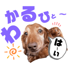[LINEスタンプ] らぶぞぅp