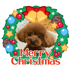 [LINEスタンプ] Merry Christmas ＆ Happy New Year！