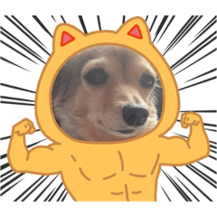 [LINEスタンプ] くりみわん