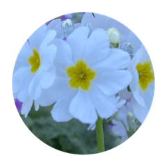 [LINEスタンプ] 帽子かぶっちゃった