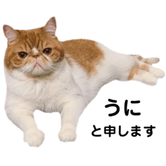 [LINEスタンプ] エキゾのうに