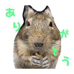 [LINEスタンプ] ねぎまだよ