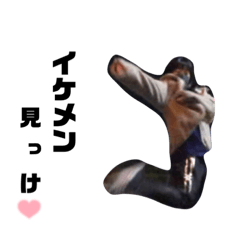 [LINEスタンプ] 押野ジョニィースタンプ 2弾