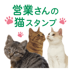 [LINEスタンプ] 営業さんの猫スタンプ