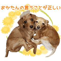 [LINEスタンプ] くにちゃんちのお犬様