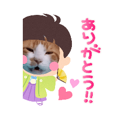[LINEスタンプ] アーユルキャット クリスマスとお正月
