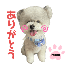 [LINEスタンプ] もこすたんぷ❸