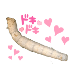 [LINEスタンプ] Silk worm