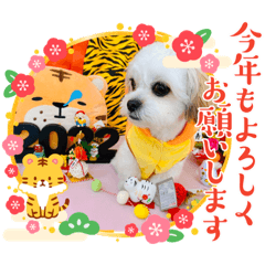 [LINEスタンプ] ミルお正月スタンプ