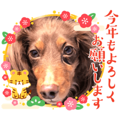 [LINEスタンプ] pururun