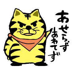 [LINEスタンプ] 出番ですよ とらちゃん