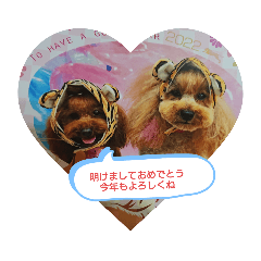 [LINEスタンプ] トイプードル♥️りの