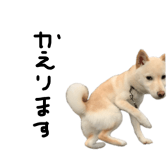 [LINEスタンプ] きょうのむぎ2