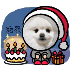 [LINEスタンプ] もふもふまろぷんスタンプ