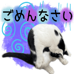 [LINEスタンプ] とある猫一家