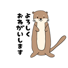 [LINEスタンプ] カワウソ君のイラストスタンプ