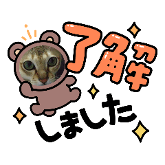 [LINEスタンプ] うちのジェリトムの画像（メイン）