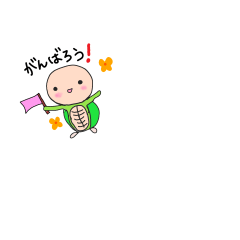 [LINEスタンプ] かわいい亀のスタンプ