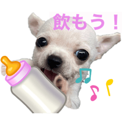 [LINEスタンプ] ♡すむちーのささみ♡