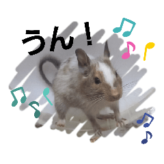 [LINEスタンプ] 新 ハムスターとデグーの日常 3 時々猫