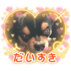 [LINEスタンプ] じろの日常8
