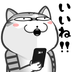 [LINEスタンプ] 猫まっすぐら