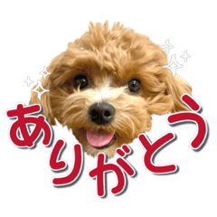 [LINEスタンプ] I am Flan♡