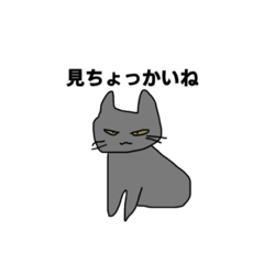 [LINEスタンプ] しっぽが短い宮崎弁の灰猫