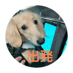 [LINEスタンプ] カニンヘンダックス日常2
