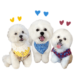 [LINEスタンプ] むぎちょこみるく三兄妹♪♪♪
