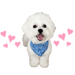 [LINEスタンプ] むぎしゃんしゃん②